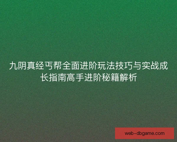九阴真经丐帮全面进阶玩法技巧与实战成长指南高手进阶秘籍解析